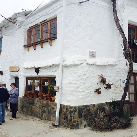 L'Atelier B&B Mecina Fondales Luaran gambar